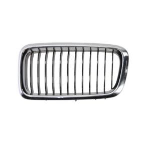 Kühlergrill 6502-07-0075995P