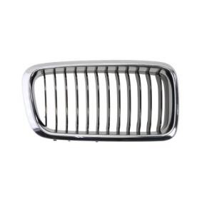 Kühlergrill 6502-07-0075996P
