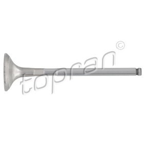 Nockenwellendichtung 820 334