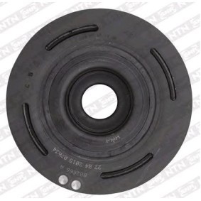 Riemenscheibe, Kurbelwelle DPF355.14K1 für RENAULT