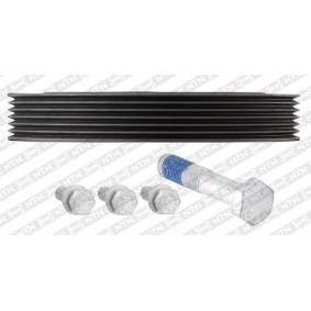 Acquista Puleggia cinghia albero a gomiti da SNR DPF359.21K1 a buon mercato per soli 70,30 €