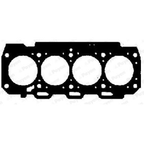 Acquista Guarnizione testata da PAYEN AB5781 a buon mercato per soli 71,47 €