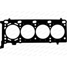 Compre Junta, cabeça do motor da PAYEN AC5350 a um preço baixo por 68,79 €
