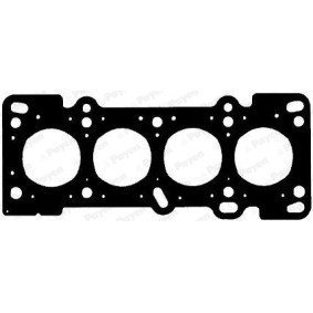 Compre Junta da cabeça do motor de PAYEN online para Sequoia II (XK60) a preços moderados