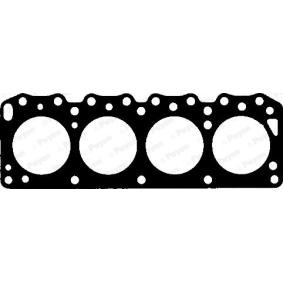 Zylinderkopfdichtung AF880 für LOTUS