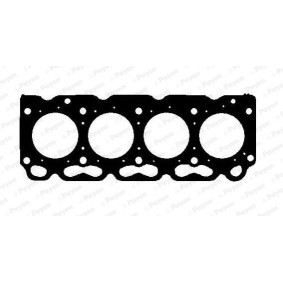 Acquista Guarnizione testata da PAYEN AG5090 a buon mercato per soli 64,47 €