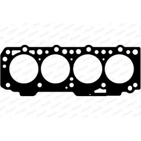 Acquista Guarnizione testata da PAYEN AG5250 a buon mercato per soli 24,11 €