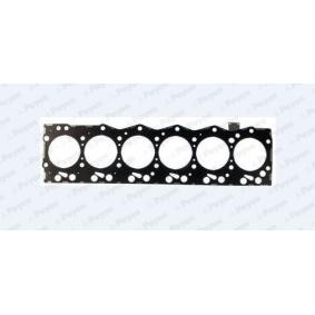 Acquista Guarnizione testata da PAYEN AG9530 a buon mercato per soli 153,23 €