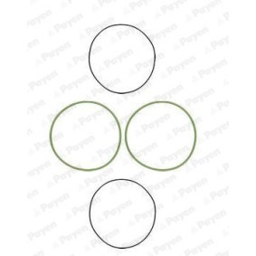 Acquista Kit guarnizioni, Canna cilindro da PAYEN HL5070 a buon mercato per soli 37,37 €