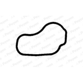 Acquista Guarnizione, Collettore aspirazione / scarico da PAYEN JC435 a buon mercato per soli 10,18 €