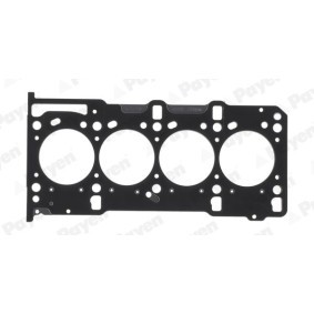Acquista Guarnizione, Copritestata da PAYEN JN942 a buon mercato per soli 19,24 €