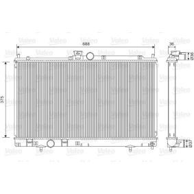 Achetez des Radiateur du moteur VALEO 701560 à prix pour 111,43 €