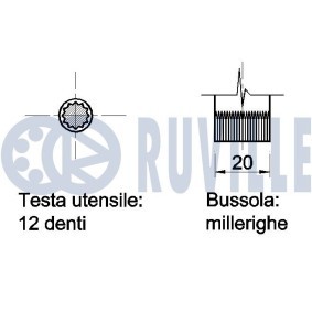 Rollensatz, Zahnriemen 5543050