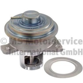 Comprar Válvula EGR de PIERBURG 7.01317.10.0 a bajo precio de 313,24 €