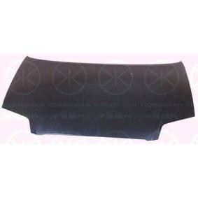 Motorhaube 1119280