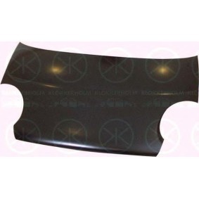 Motorhaube 1103280A1