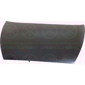 Motorhaube 2505280A1