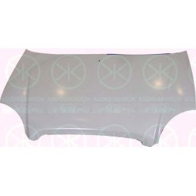 Motorhaube 3125280A1