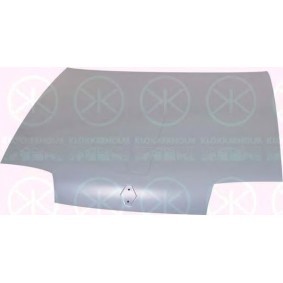 Motorhaube 6036280