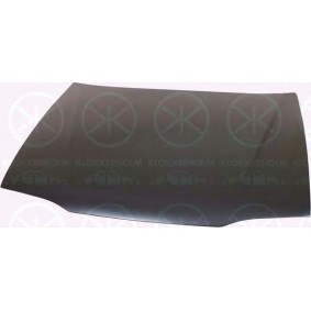 Motorhaube 6036281A1