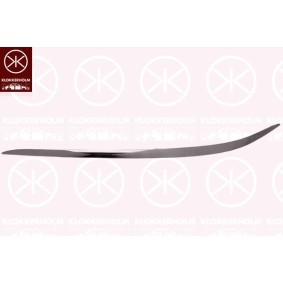 Achetez des Pare-choc arrière KLOKKERHOLM 6037953 à prix pour 241,34 €