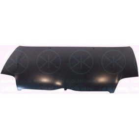 Motorhaube 8116281