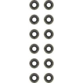 Dichtungssatz, Ventilschaft N93017-00