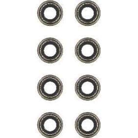 Dichtungssatz, Ventilschaft N93061-00