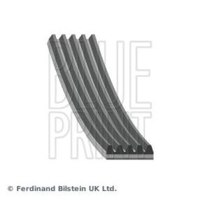 Acquista Cinghia servizi da BLUE PRINT AD05R1355 a buon mercato per soli 10,86 €