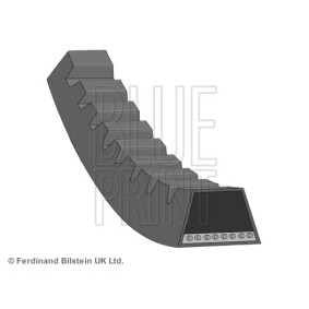 Acquista Cinghia trapezoidale da BLUE PRINT AD12V670 a buon mercato per soli 3,66 €
