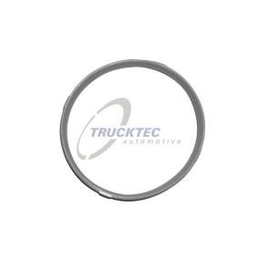 Acquista Guarnizione, Alloggiam. collettore aspirazione da TRUCKTEC AUTOMOTIVE 08.10.060 a buon mercato per soli 14,96 €