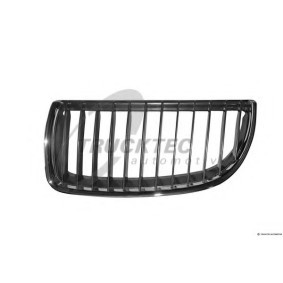 Kühlergrill für BMW von TRUCKTEC AUTOMOTIVE