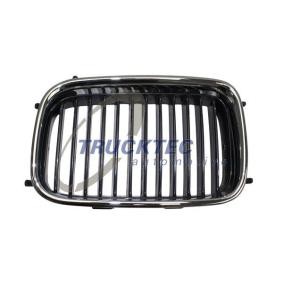 Kühlergrill 08.62.222