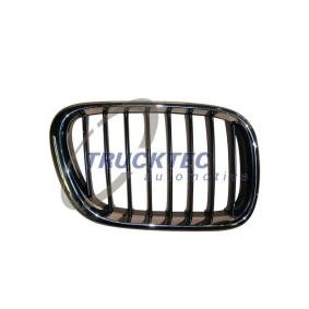 Kühlergrill 08.62.253