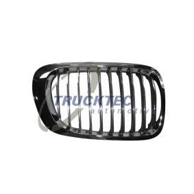 Kühlergrill 08.62.254