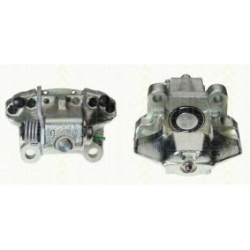 Bremssattel 8170 34516