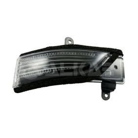Blinker 6202898