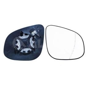Spiegelglas, Außenspiegel 6472698