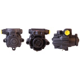 Servopumpe für ROVER von ELSTOCK