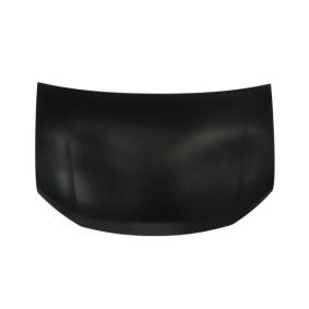 Motorhaube 6803-00-1303280P