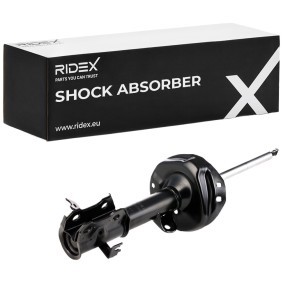 Stoßdämpfer von RIDEX