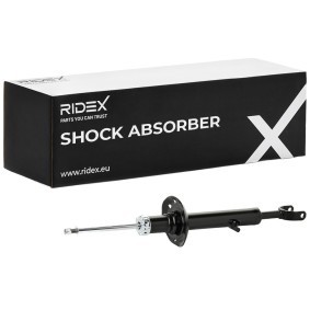 Stoßdämpfer von RIDEX