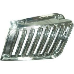 Kühlergrill 5881941