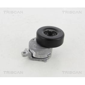 Spannrolle, Keilrippenriemen für FORD von TRISCAN