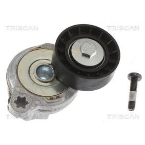 Acquista Rullo tenditore, cinghia poly-v da TRISCAN online per V70 III Van / Station Wagon (135) a prezzi moderati
