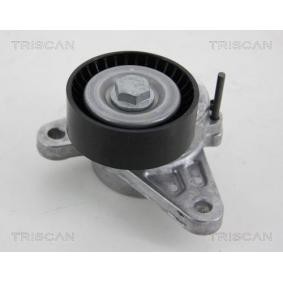 Compre Rolo tensor, correia trapezoidal estriada de TRISCAN online para Leon (KL1) a preços moderados