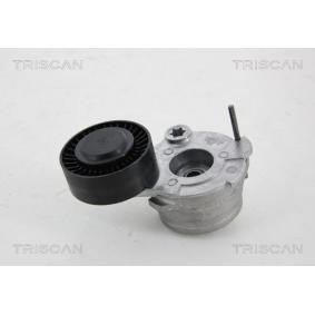 Comprar Polea tensora, correa poli V de TRISCAN 8641 293050 a bajo precio de 79,96 €