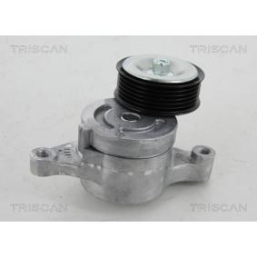 Comprar Polea tensora, correa poli V de TRISCAN 8641 503009 a bajo precio de 179,39 €