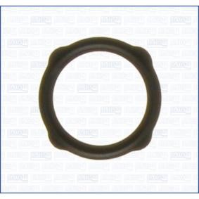 AGR-Ventil-Dichtung 01053400