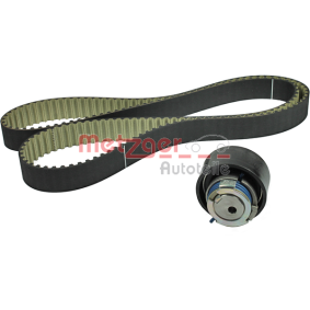 Achetez des Kit de distribution METZGER WM-Z 482 à prix pour 31,30 €